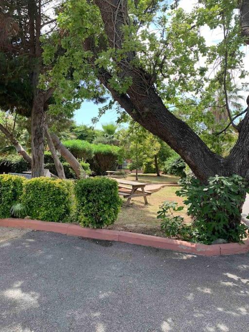 Appartement Cosy Confort Parking Clim Wifi Linge Acces Piscine Non Inclus Canet-en-Roussillon Exterior photo