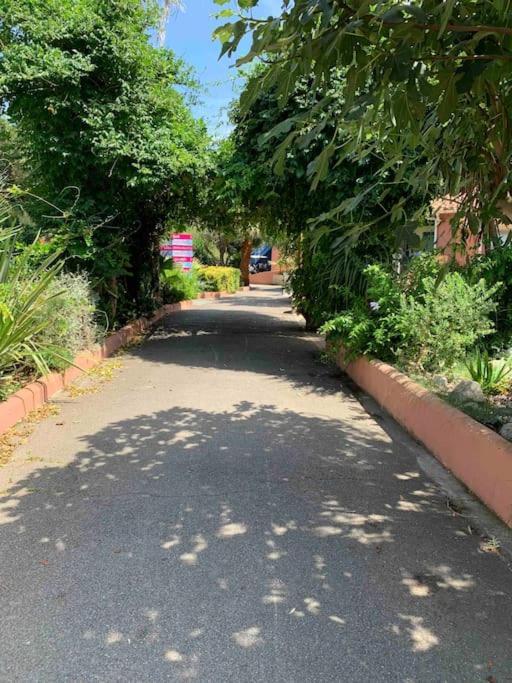 Appartement Cosy Confort Parking Clim Wifi Linge Acces Piscine Non Inclus Canet-en-Roussillon Exterior photo