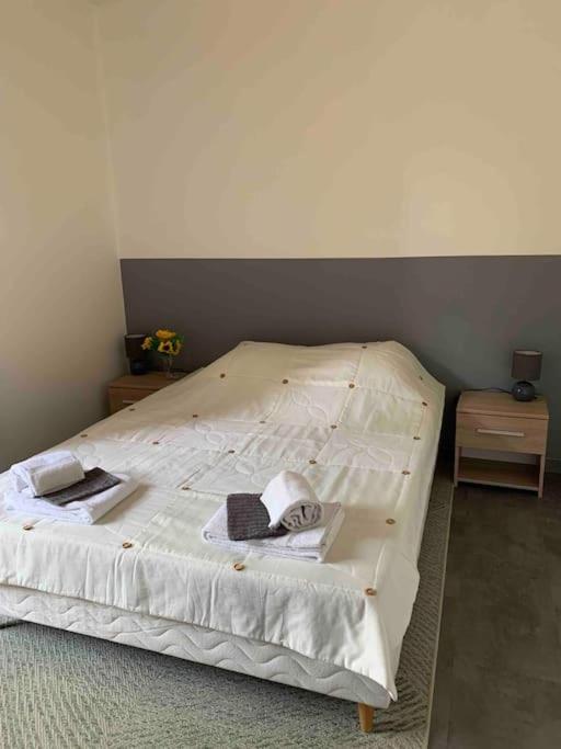 Appartement Cosy Confort Parking Clim Wifi Linge Acces Piscine Non Inclus Canet-en-Roussillon Exterior photo