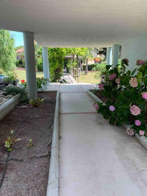Appartement Cosy Confort Parking Clim Wifi Linge Acces Piscine Non Inclus Canet-en-Roussillon Exterior photo